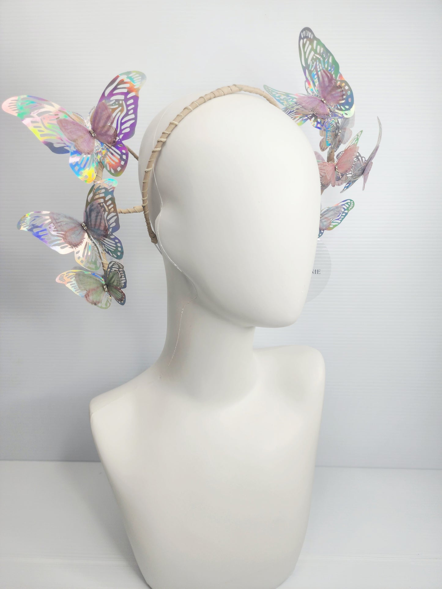 2025 Iridescent butterflies